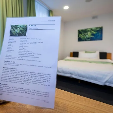 Ochsen Rapperswil/be Hotel *