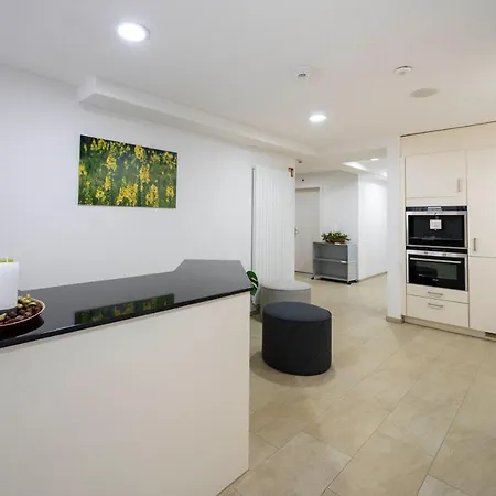 Hotel Ochsen Rapperswil/be