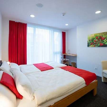 Ochsen Rapperswil/be Hotel