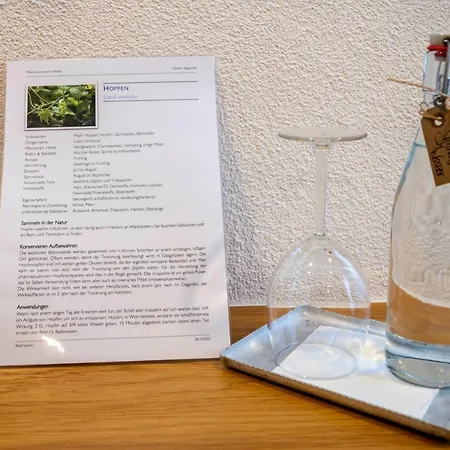 Hotel Ochsen Rapperswil/be