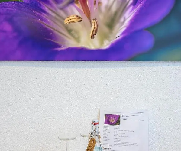 Ochsen Rapperswil/be *