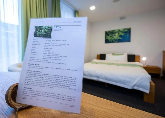 Ochsen Rapperswil/be Hotel *