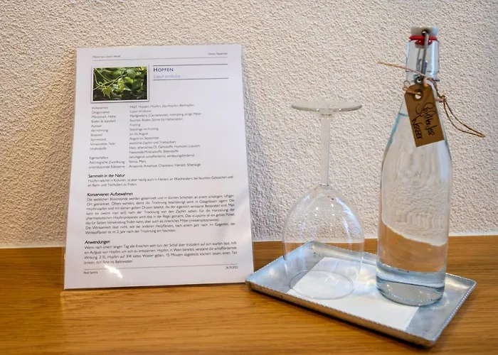 Hotel Ochsen Rapperswil/be