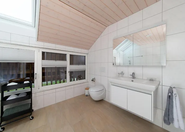 Ochsen Rapperswil/be *