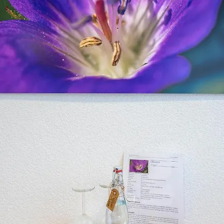 Ochsen Rapperswil/be *