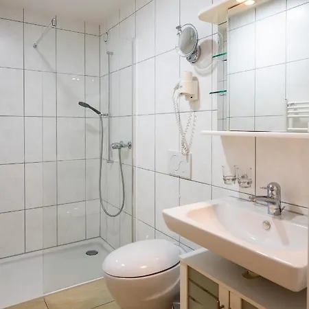 Ochsen Rapperswil/be