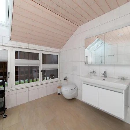 Ochsen Rapperswil/be *